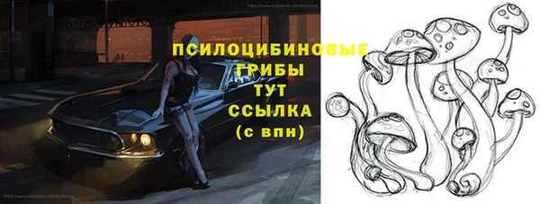 mix Алексин